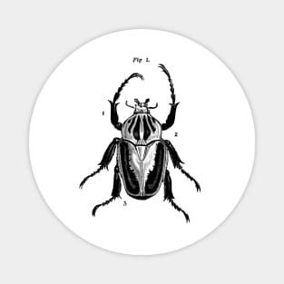 Beetle Fig 4. Magnet